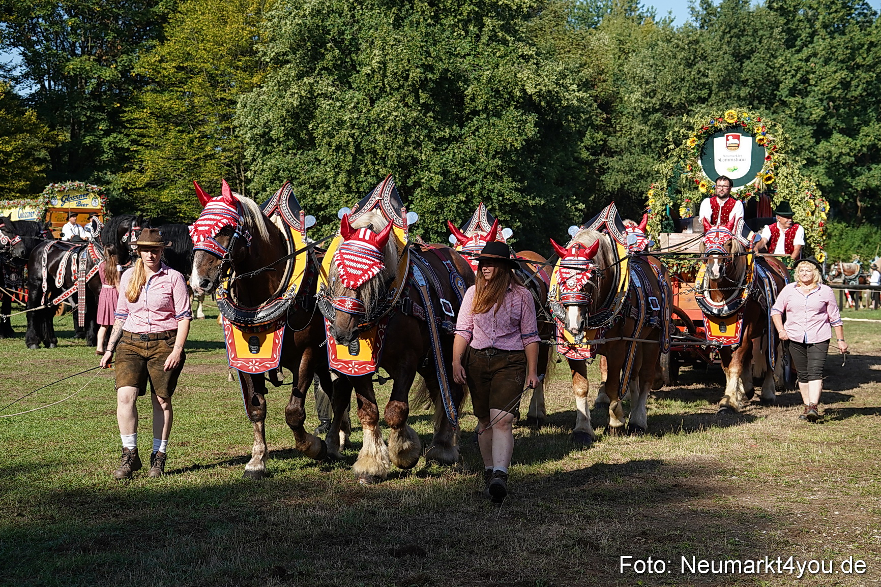 Pferde und Fohlenschau 2022 0041 